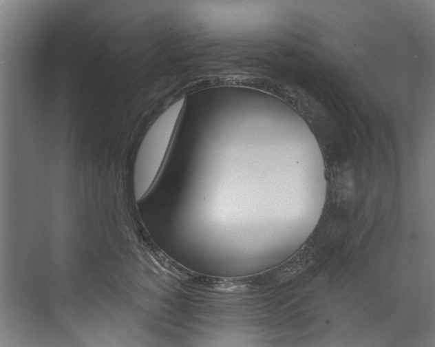 X0000074040760200608211202