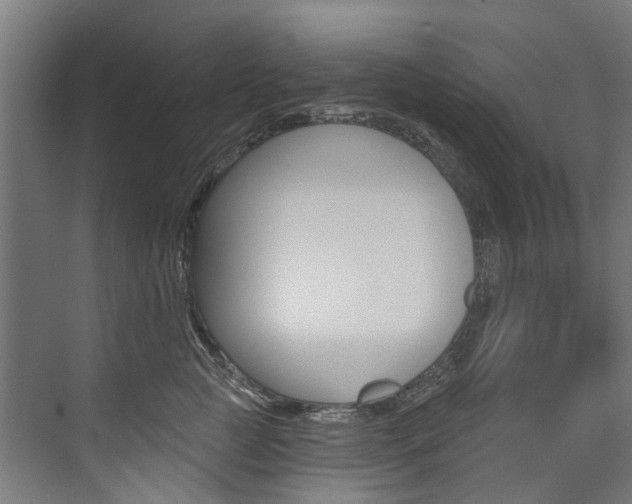X0000074040761200608211202