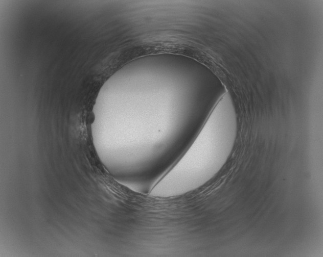 X0000074040771200608211201