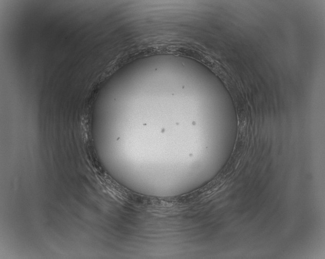 X0000074040772200608211201