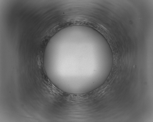 X0000074040774200608211201