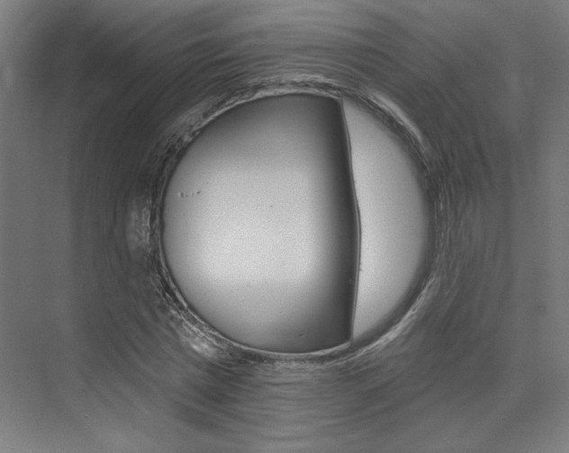 X0000074040777200608211201