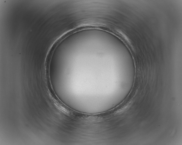 X0000074040779200608211201