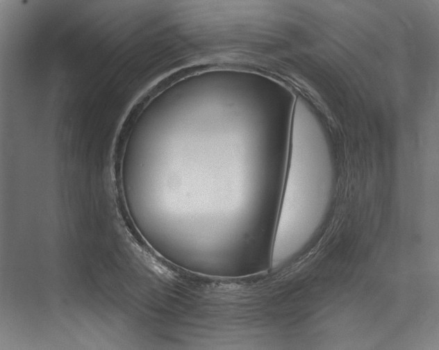 X0000074040784200608211201