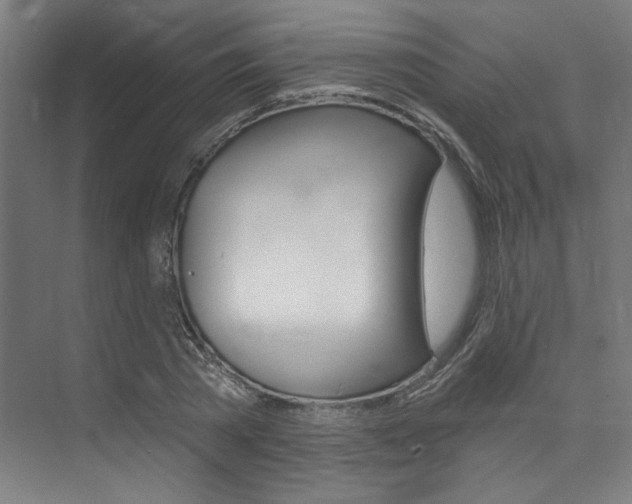 X0000074040785200608211201