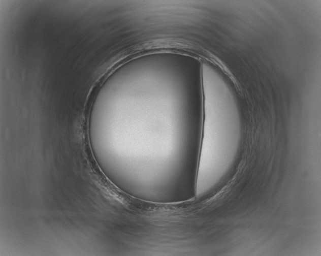 X0000074040786200608211201