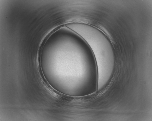 X0000074040788200608211201