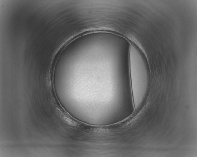 X0000074040789200608211201