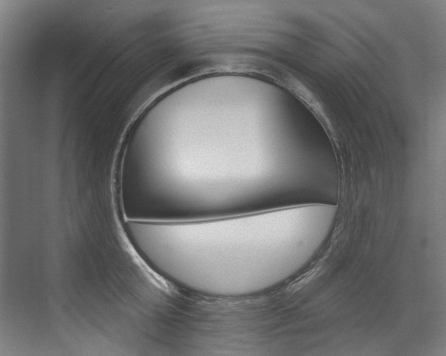 X0000074040803200608211201
