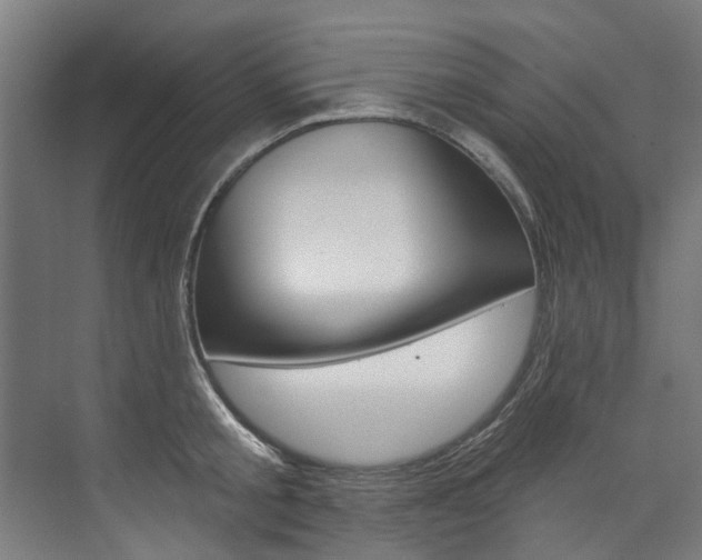 X0000074040805200608211201