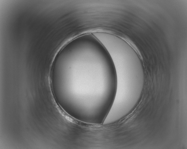 X0000074040813200608211200