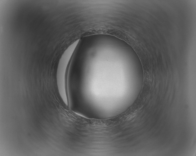 X0000074040818200608211200