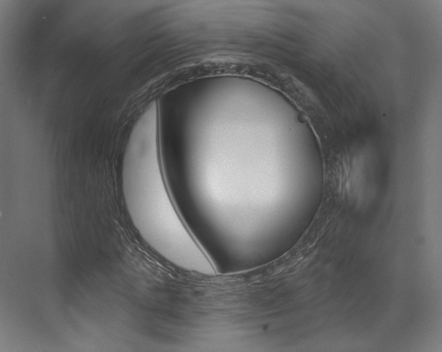 X0000074040821200608211200