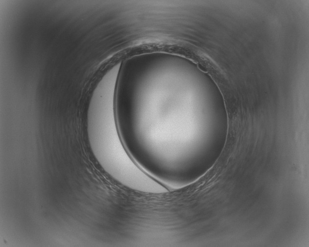 X0000074040822200608211200