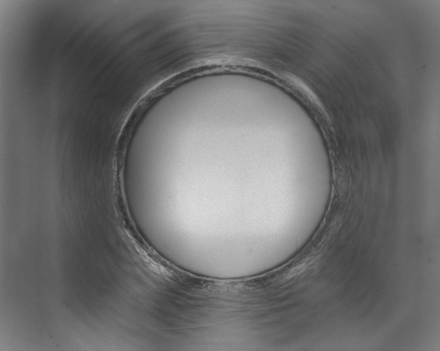 X0000074040831200608211200