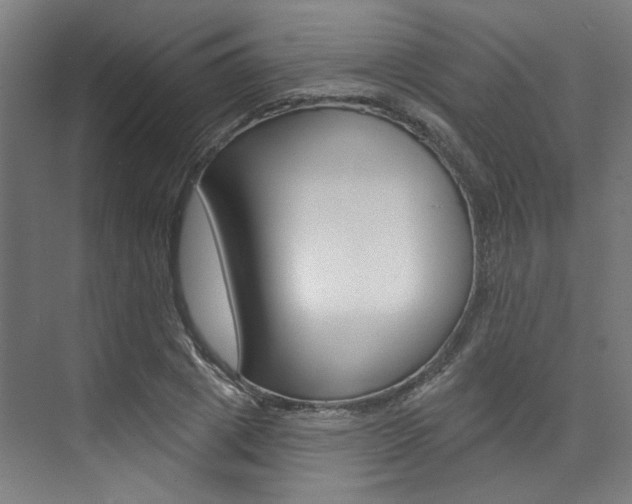 X0000074040833200608211200