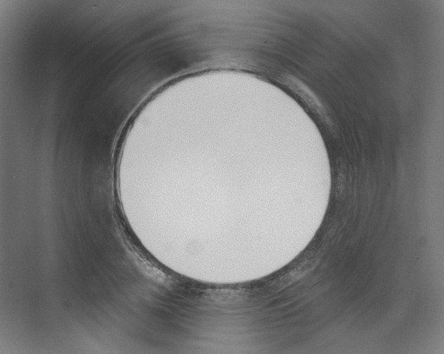 X0000074040836200608211200