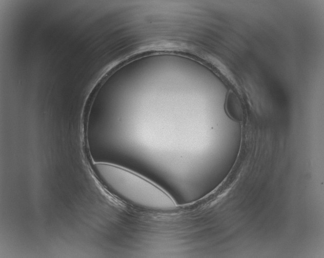 X0000074040837200608211200