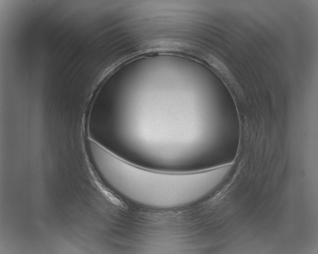 X0000074040842200608211200