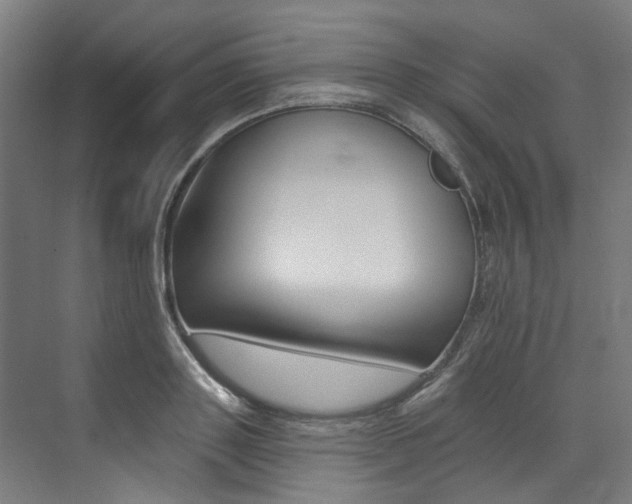 X0000074040843200608211200