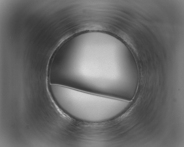 X0000074040845200608211200