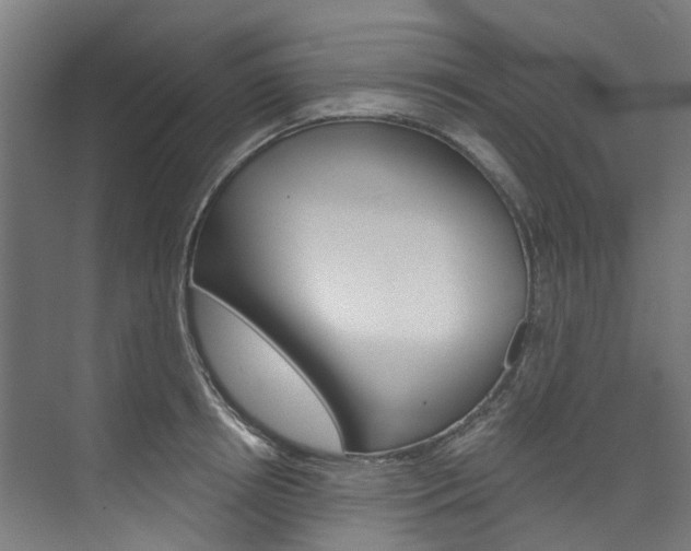 X0000074040850200608211200