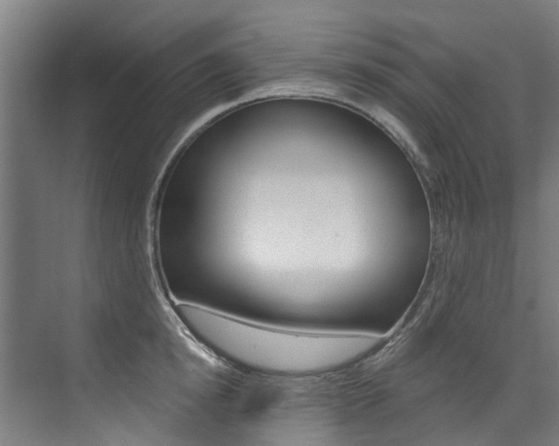 X0000074040854200608211200