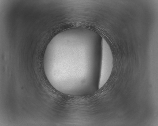 X0000074040865200608211159