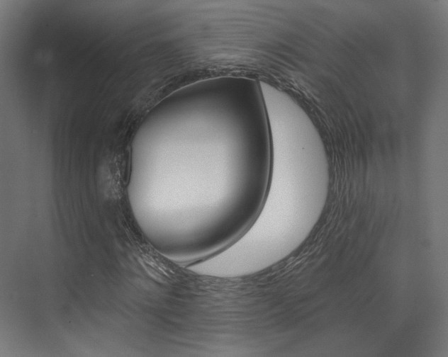 X0000074040868200608211159