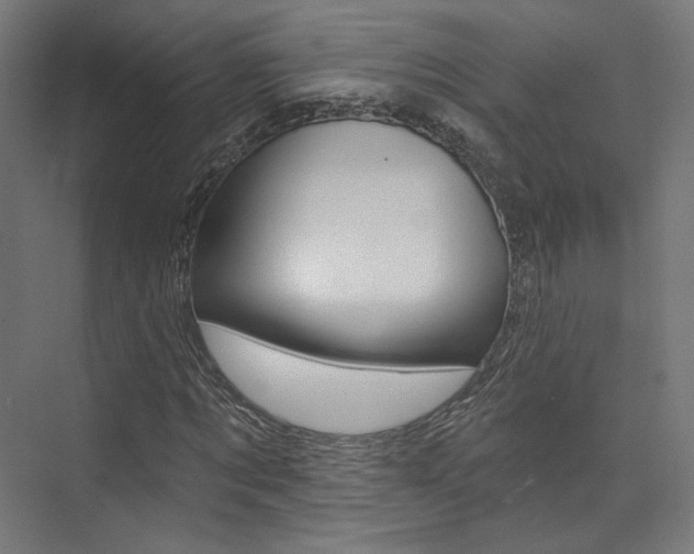 X0000074040869200608211159