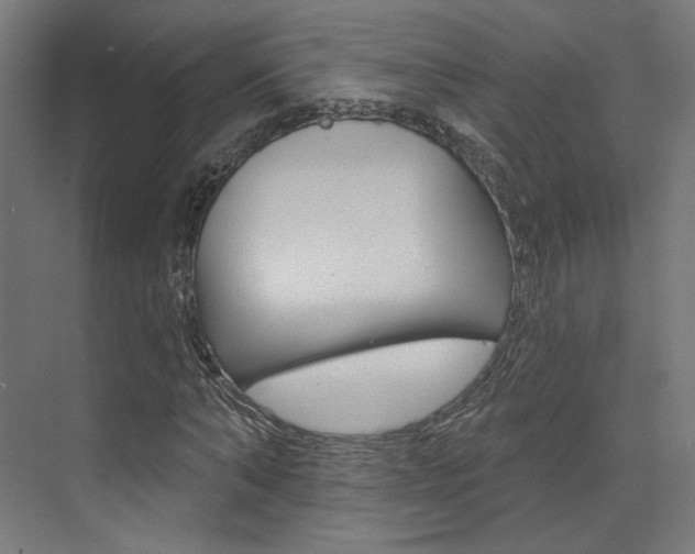 X0000074040870200608211159