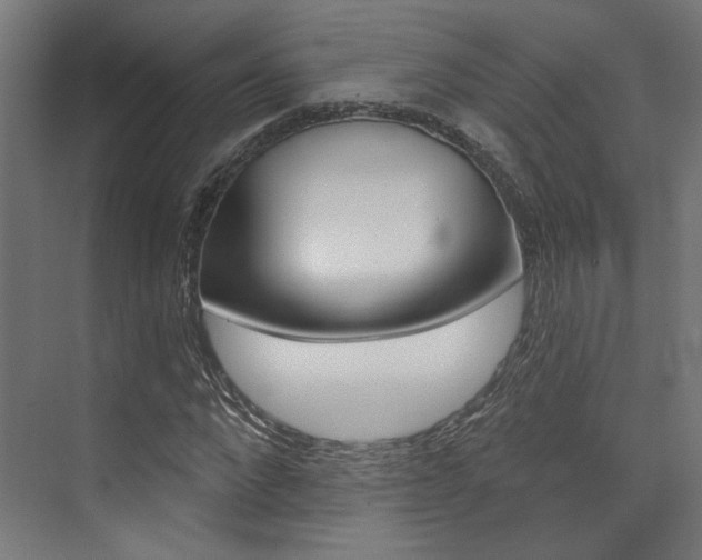 X0000074040872200608211159