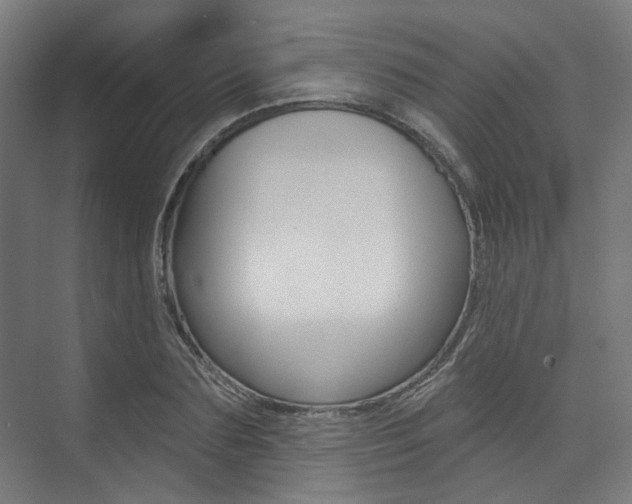 X0000074040883200608211159