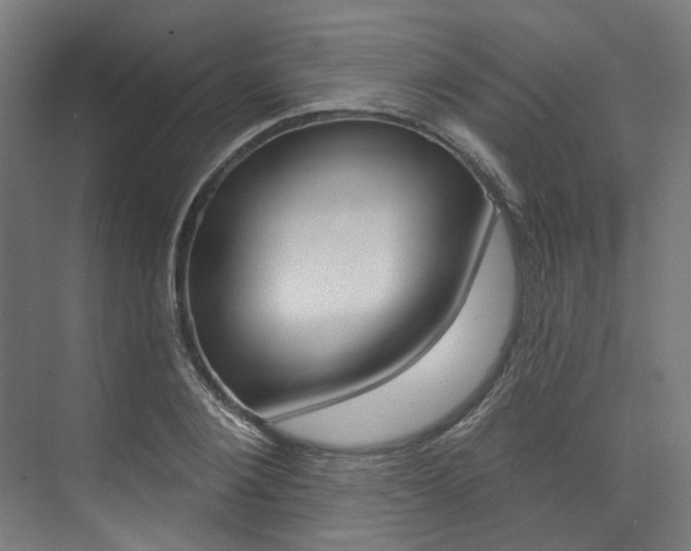 X0000074040884200608211159