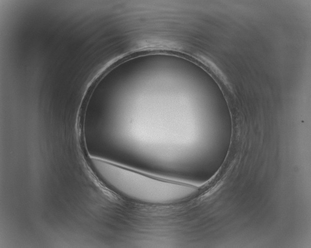 X0000074040885200608211159