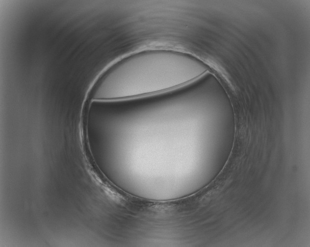 X0000074040888200608211159