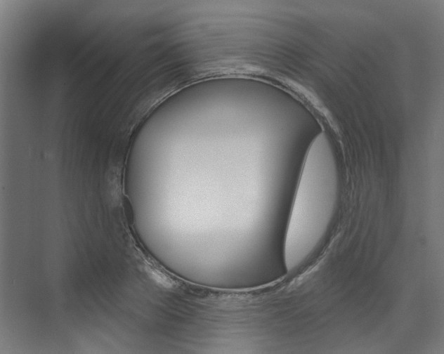 X0000074040889200608211159