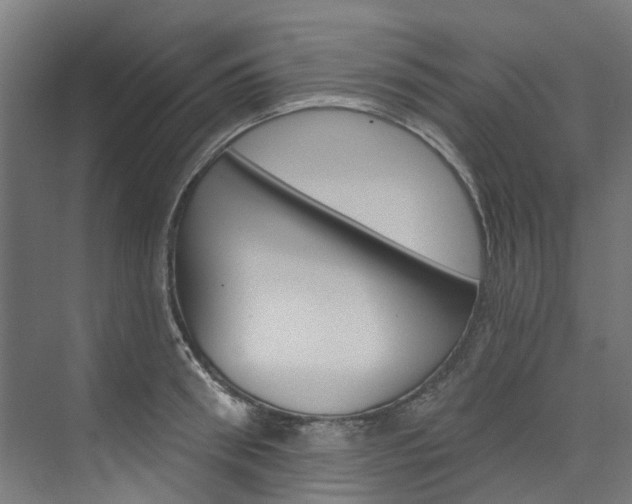 X0000074040898200608211159