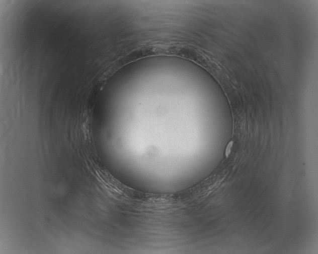 X0000074040914200608211158
