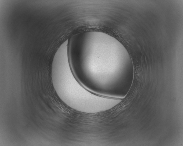 X0000074040916200608211158