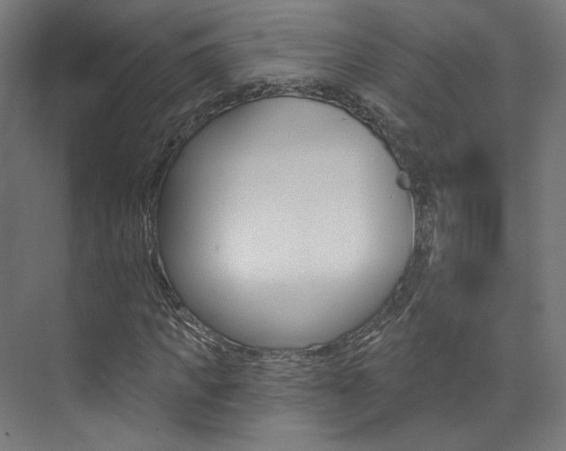 X0000074040917200608211158
