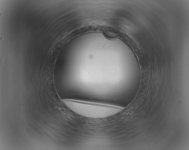 X0000074040919200608211158