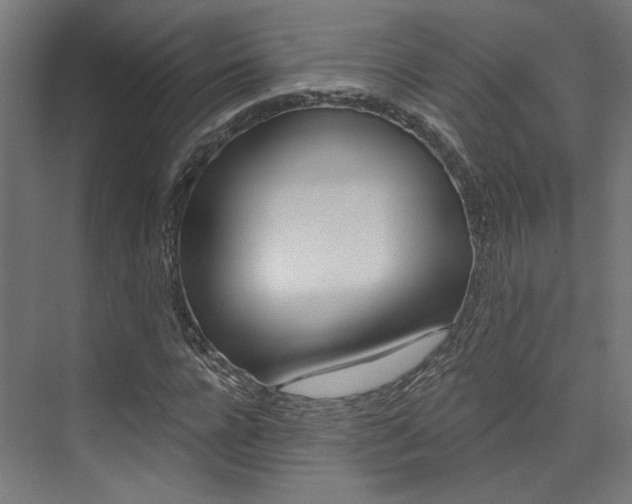 X0000074040920200608211158