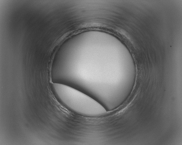 X0000074040921200608211158