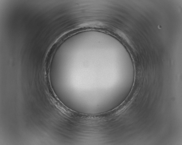 X0000074040923200608211158
