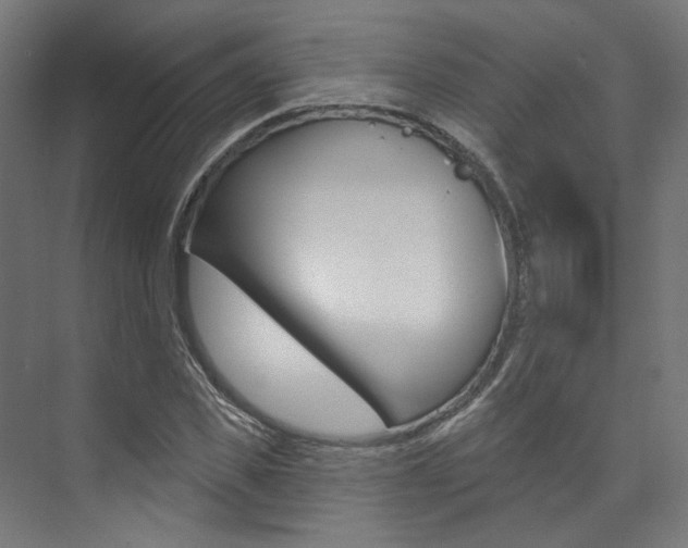 X0000074040925200608211158