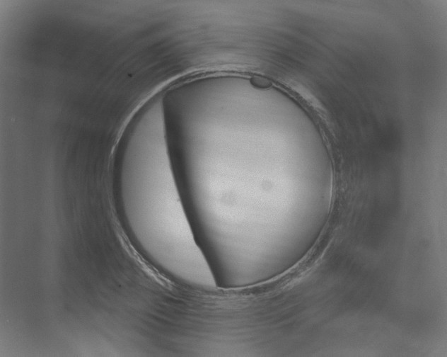 X0000074040933200608211158