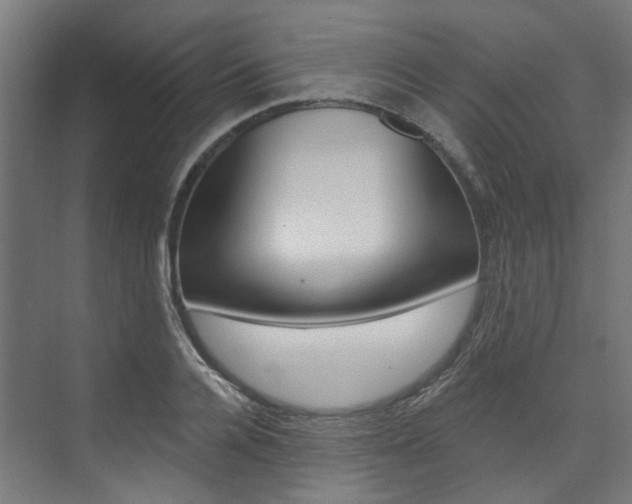 X0000074040936200608211158