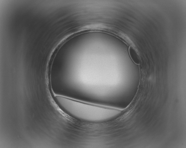 X0000074040939200608211158