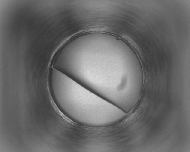 X0000074040941200608211158